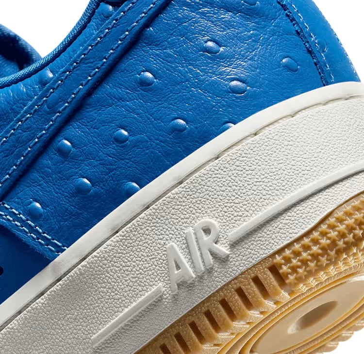 Nike Air Force 1 Low “Blue Star” DZ2708-400