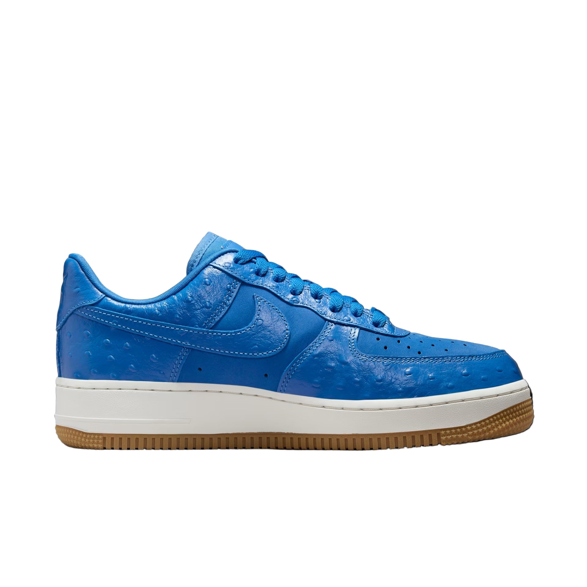 Nike Air Force 1 Low “Blue Star” DZ2708-400