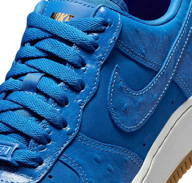 Nike Air Force 1 Low “Blue Star” DZ2708-400