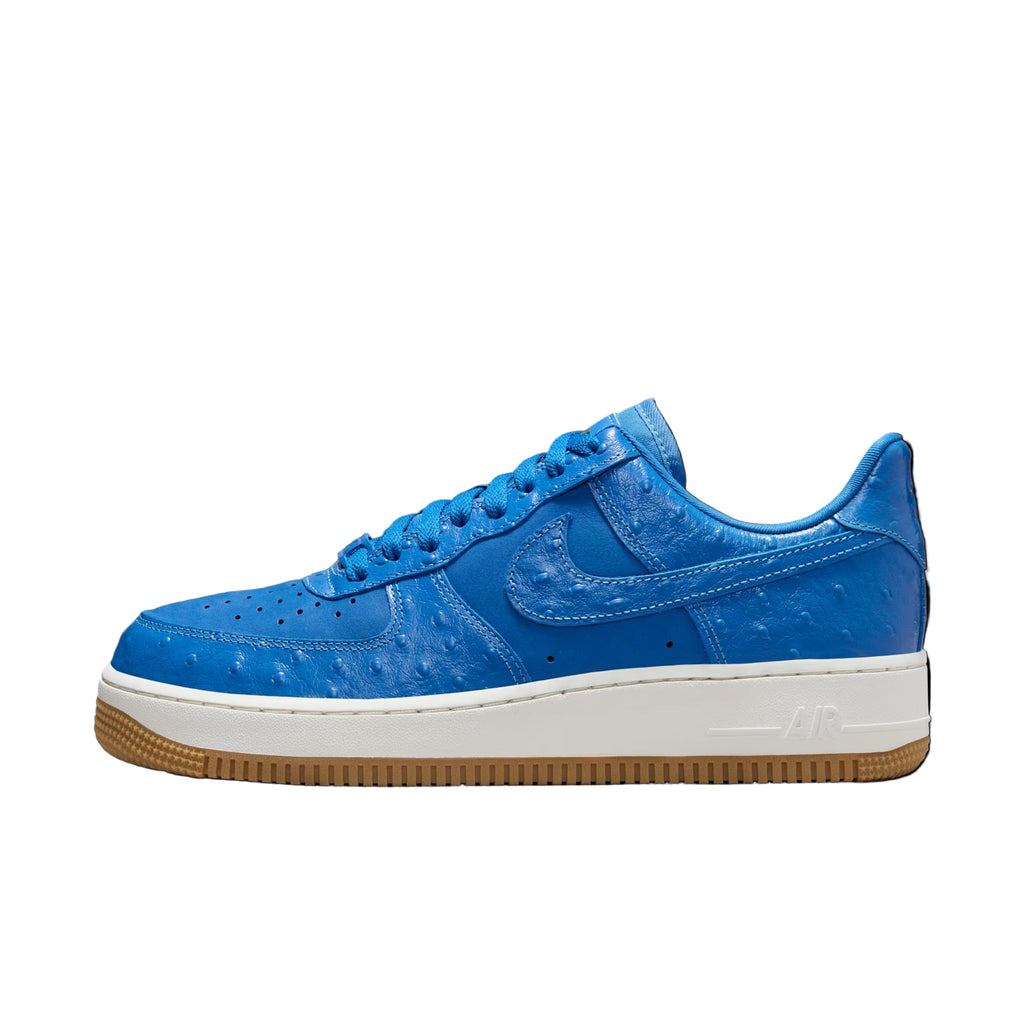 Nike Air Force 1 Low “Blue Star” DZ2708-400