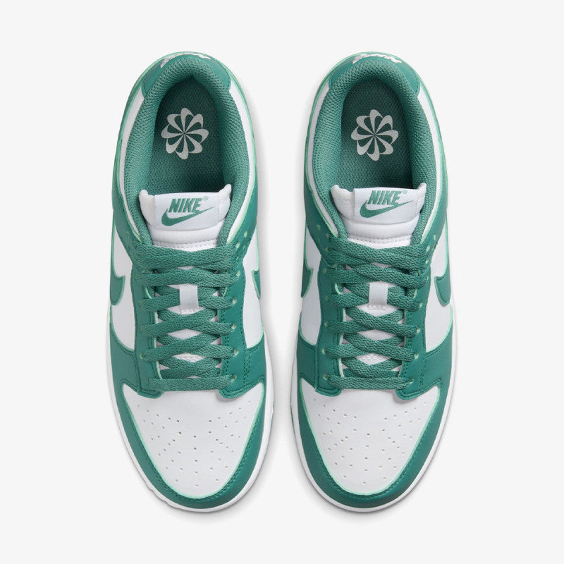 Nike Dunk Low Next Nature "Bicoastal" DD1873-107
