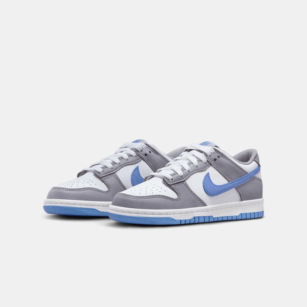 Nike Dunk Low "Royal Pulse" FB9109-121